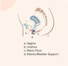 Femsafe vaginal support device for SUI management